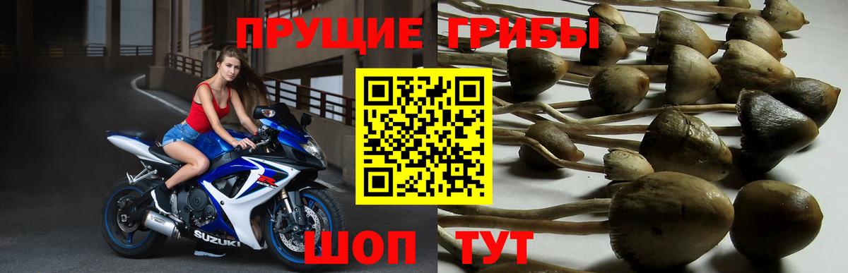 Галлюциногенные грибы GOLDEN TEACHER  Вход с VPN  Южноуральск  Псилоцибиновые грибы мухоморы 
