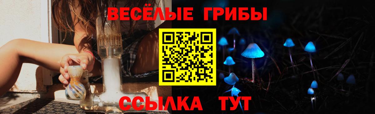 Галлюциногенные грибы GOLDEN TEACHER Южноуральск